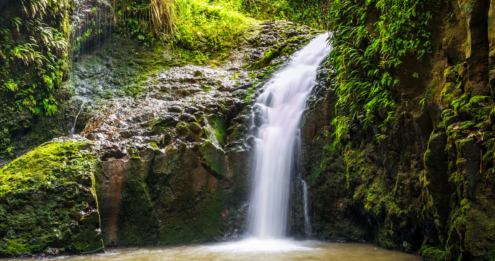 Maunawili Falls Hike - Oahu attraction near Ka'a'awa vacation rental