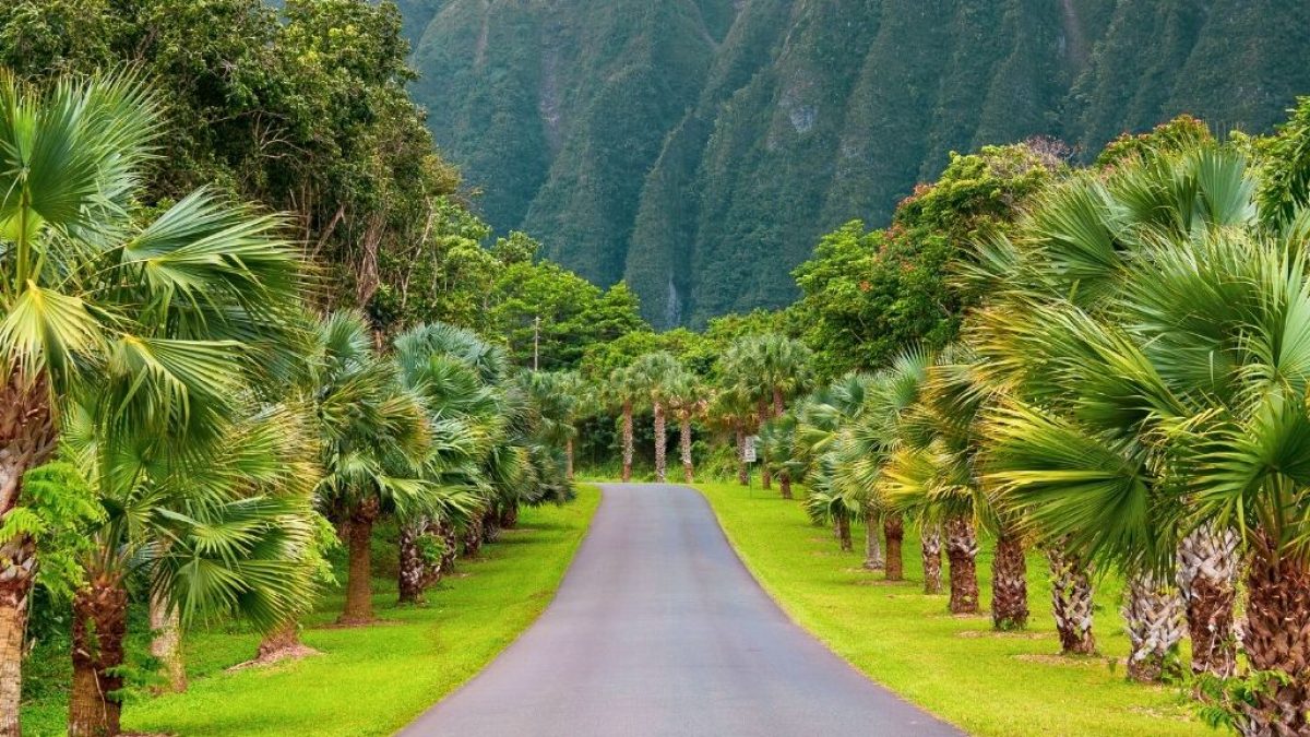 Hōomaluhia Botanical Garden - Oahu attraction near Ka'a'awa vacation rental