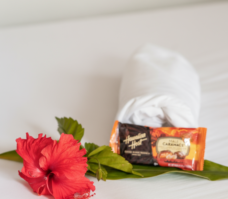 Chinaman’s Ocean Front Beach House 15 Bright bedroom with ocean view in Oahu Hawaii vacation rental